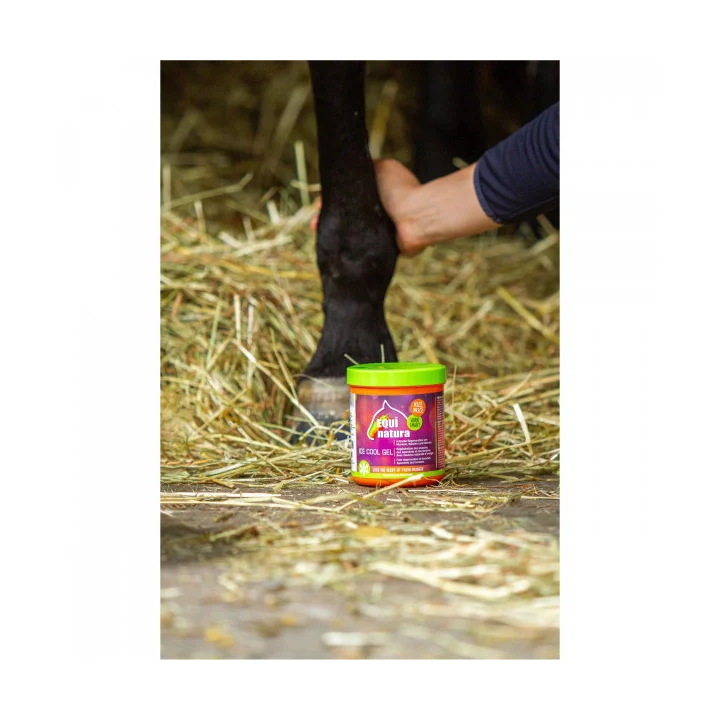 Żel chłodzący EQUINATURA Cooling Gel 600ml