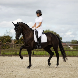 Koszulka konkurs BR Monterrey krótki rękaw