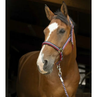 Kantar NORTON Brillant + uwiąz