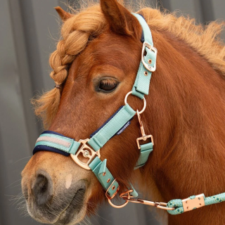 Kantar z uwiązem HH Samara 25SS