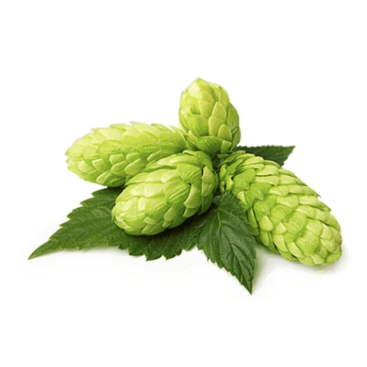 Szyszki chmielu EQUIHERBS EKO torba 500g | Sklep jeździecki Horse Trade.pl