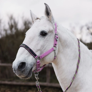 Kantar i uwiąz HORZE Graffiti 25SS