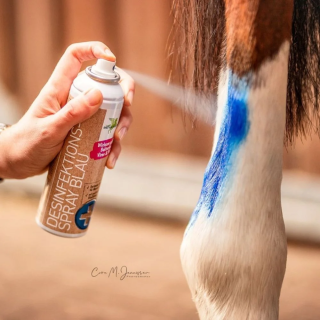 Spray dezynfekujący nieb. B&E Desinfektion 200ml