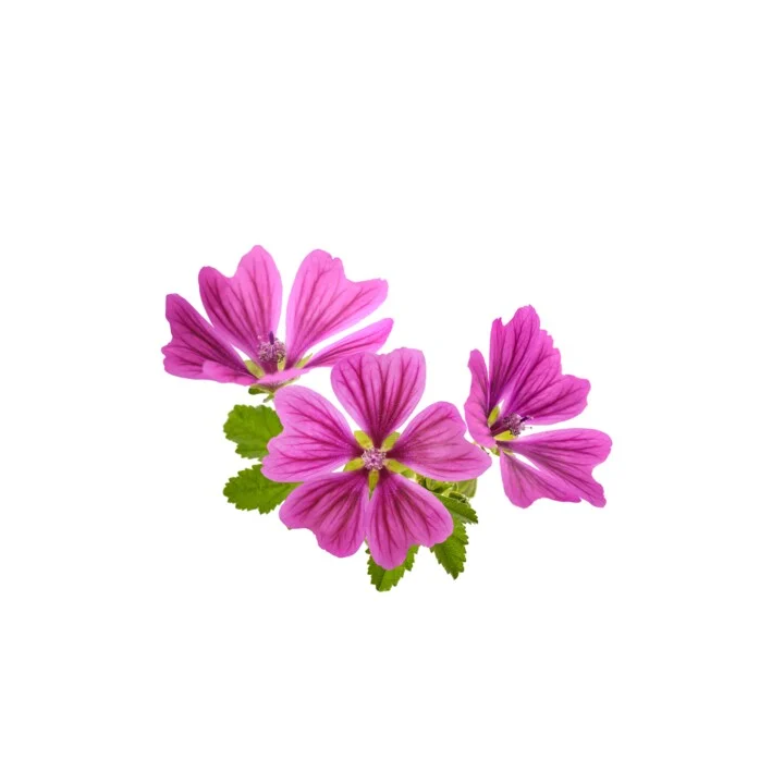 Ślaz dziki kwiat EQUIHERBS 500g