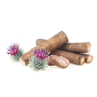 Łopian korzeń EQUIHERBS 500g