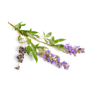 Niepokalanek pospolity EQUIHERBS DOYPACK 1000g