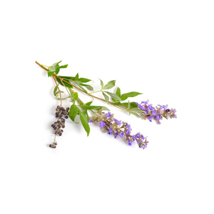 Niepokalanek pospolity EQUIHERBS DOYPACK 1000g