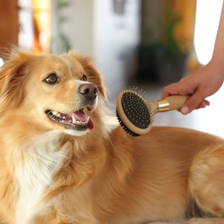 Szczotka dwustronna MAGIC BRUSH 20x10 gold