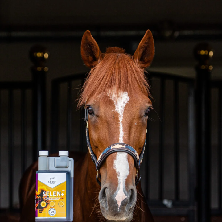 Suplement MEBIO Selen+ witamina C i E 1000ml