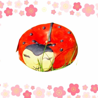 Przysmak KOŃSKA CUKIERENKA donat Biedroneczka