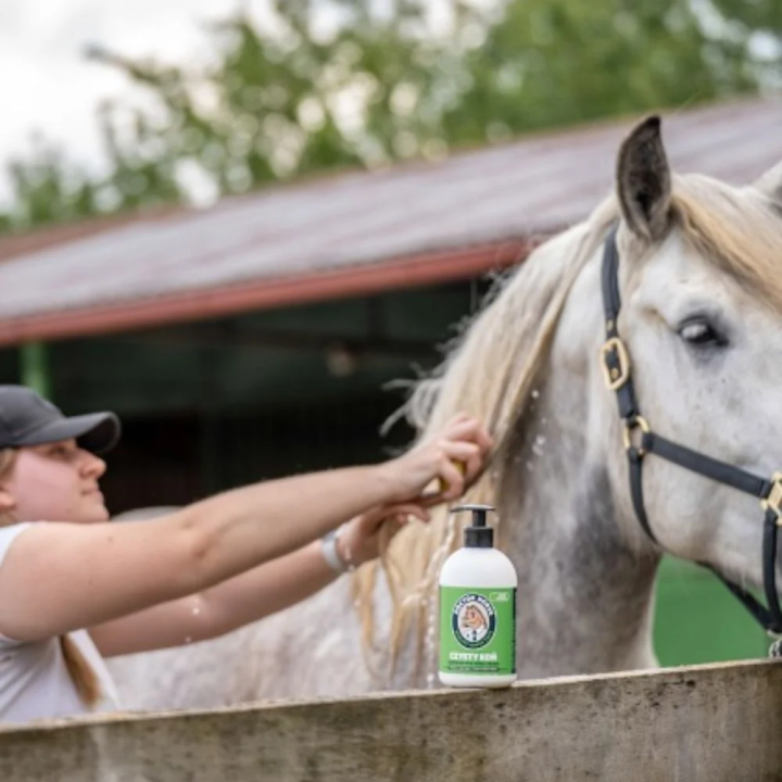 Szampon DOCTORHORSE Czysty Koń 500ml