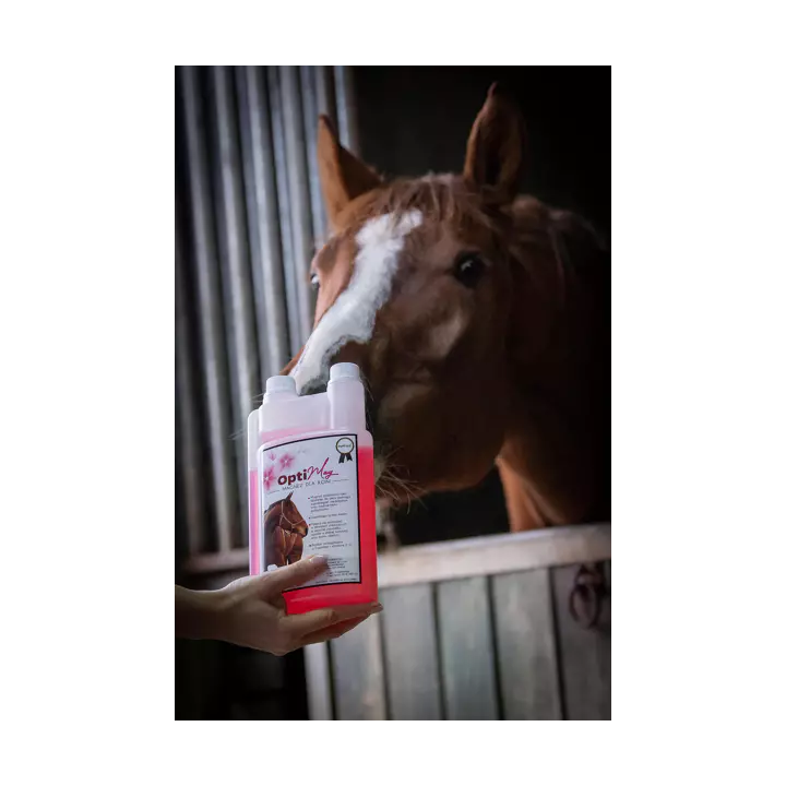 Suplement OptiMag magnez+b12 dla koni 1l