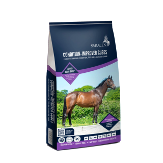 Pasza SARACEN Condition Improver cubes 20kg
