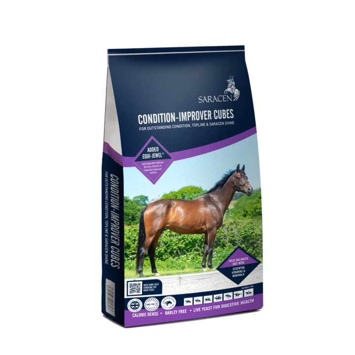 Pasza SARACEN Condition Improver cubes 20kg