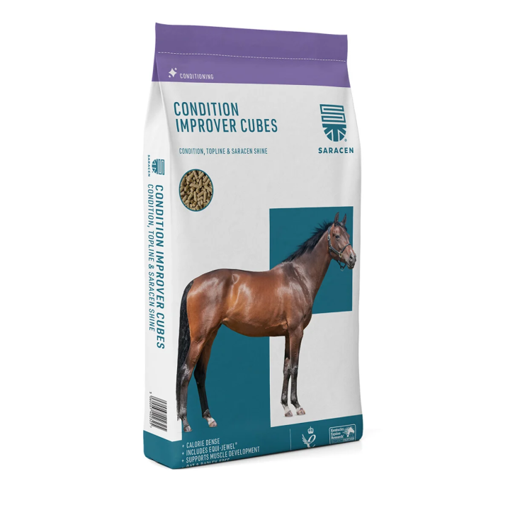 Pasza SARACEN Condition Improver cubes 20kg
