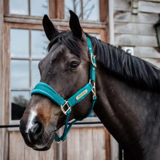 Kantar KENTUCKY Velvet | Sklep jeździecki Horse Trade.pl