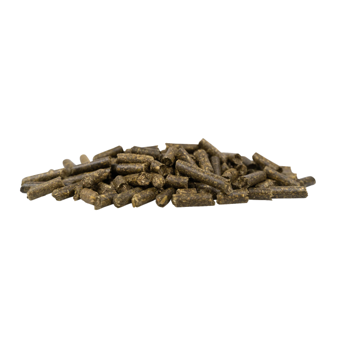 Lucerna JOSERA Kraut&Ruben Luzerne Pur 15kg