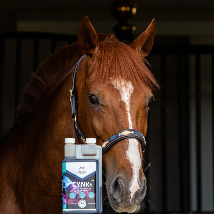 Suplement MEBIO Cynk+ 1l