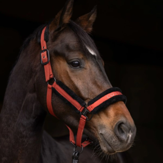 Kantar COVALLIERO 25AW