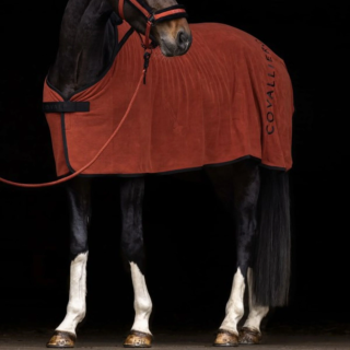 Derka polarowa COVALLIERO 25AW