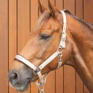 Kantar z uwiązem HH SatinEli 25AW