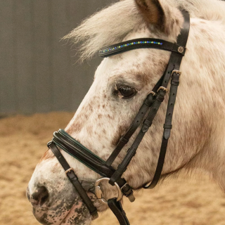 Ogłowie HH STOUT! Lime 25AW