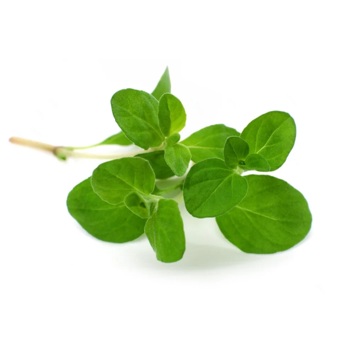 Majeranek EQUIHERBS EKO-torba 1000g