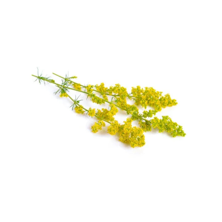 Przytulia właściwa EQUIHERBS ziele EKO-torba 1000g