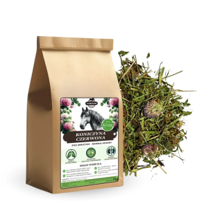 Koniczyna czerwona SAMFARM 1kg