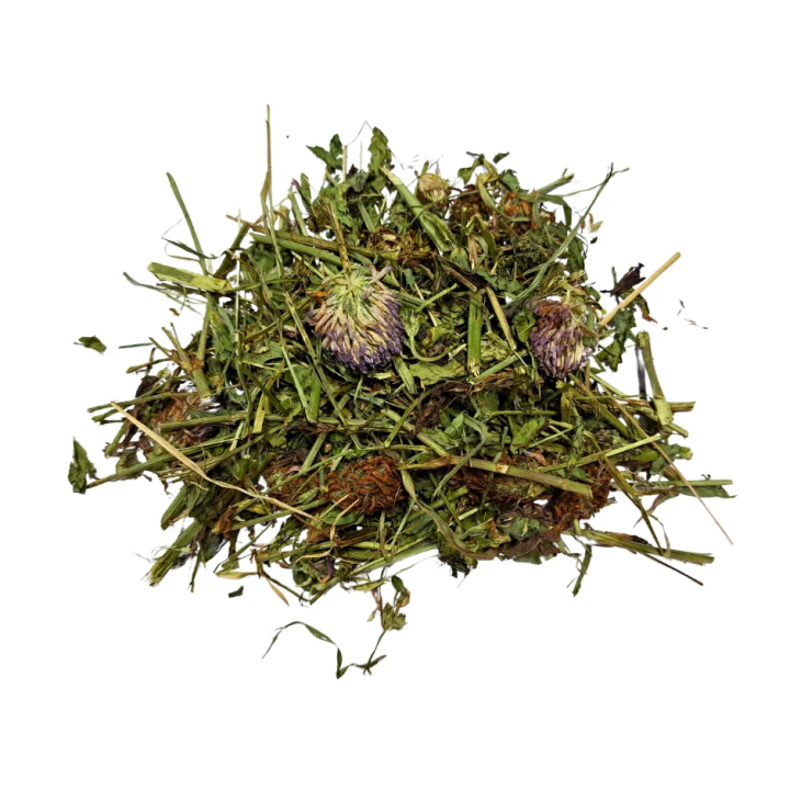 Koniczyna czerwona SAMFARM 1kg