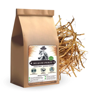 Kłącze perzu SAMFARM 1kg