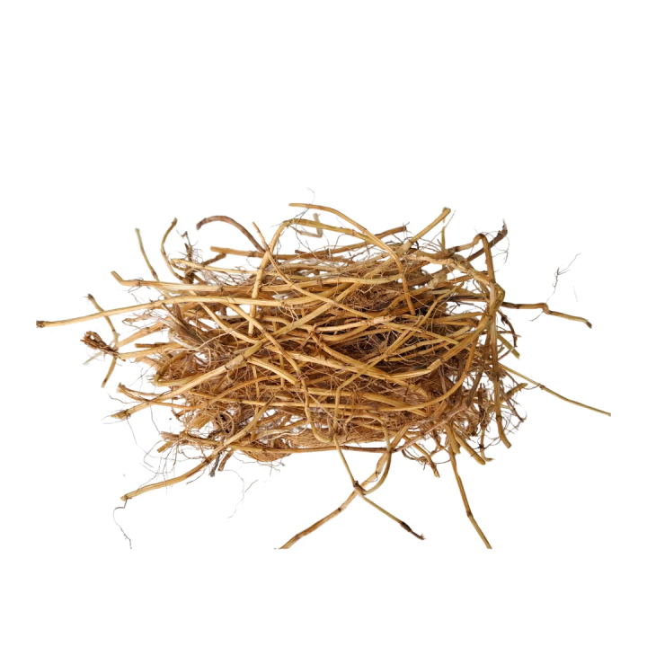 Kłącze perzu SAMFARM 1kg