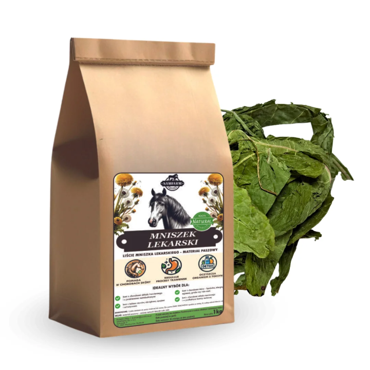 Mniszek lekarski korzeń mielony SAMFARM 500g