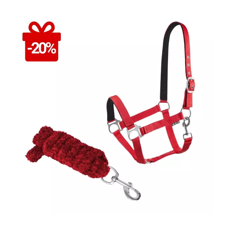 DLA KONIA - Uwiąz + kantar COB