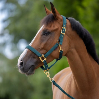 Kantar dla konia COVALLIERO TopLine | Sklep jeździecki Horse-Trade.pl