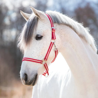 Kantar COVALLIERO Hippo