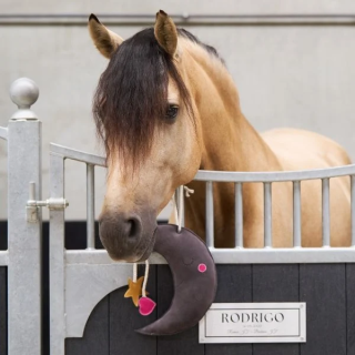 Zabawka dla konia IR Stable Buddy Moony grey