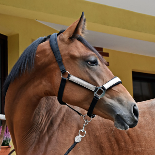 Kantar START NeopreneGlitter2tone