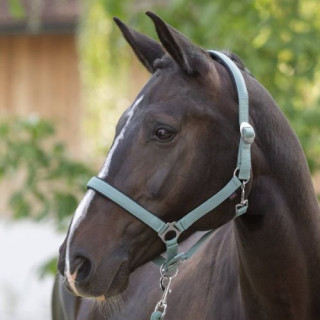 Kantar COVALLIERO Doria