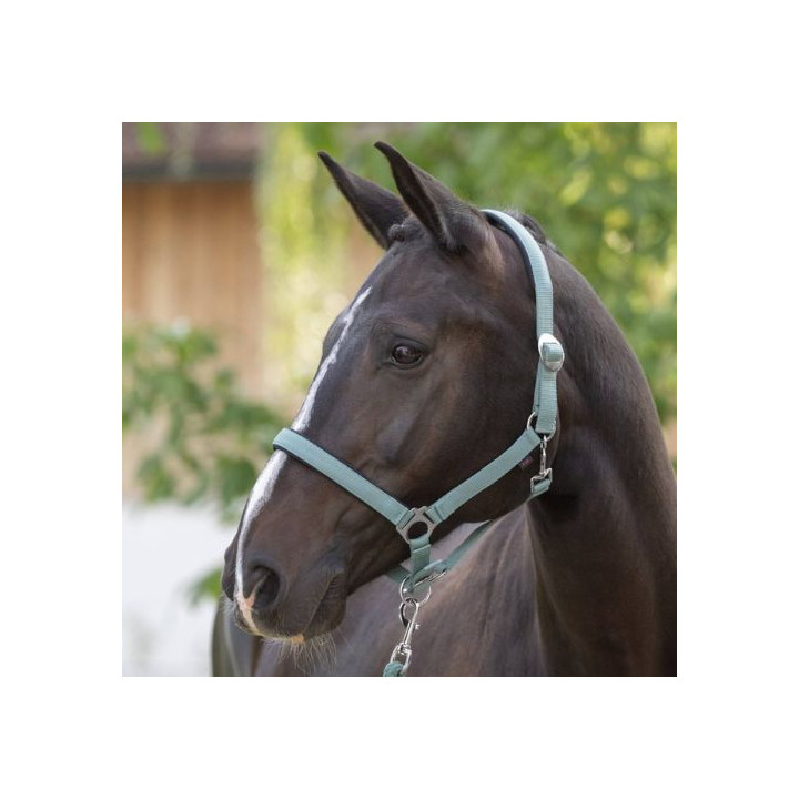 Kantar COVALLIERO Doria