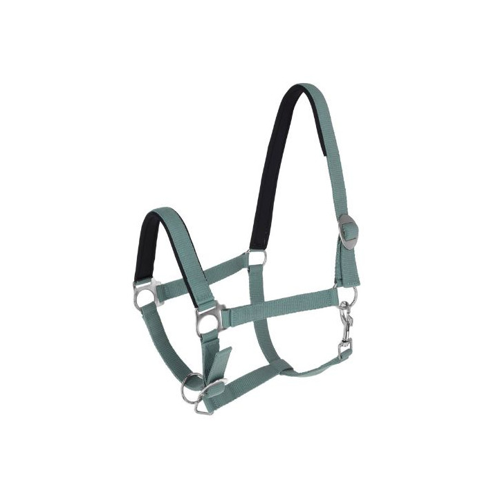 Kantar COVALLIERO Doria