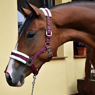 Kantar START MinkPadded