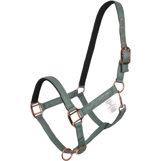 Kantar IR IRHAmbient