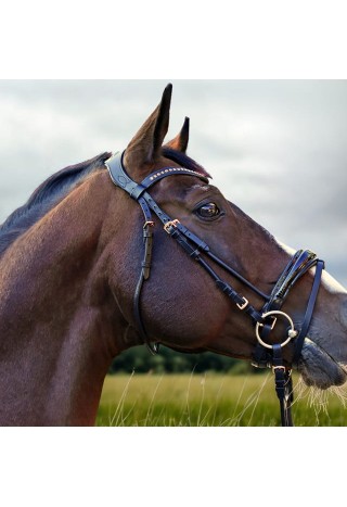 Bridle IO.jpg