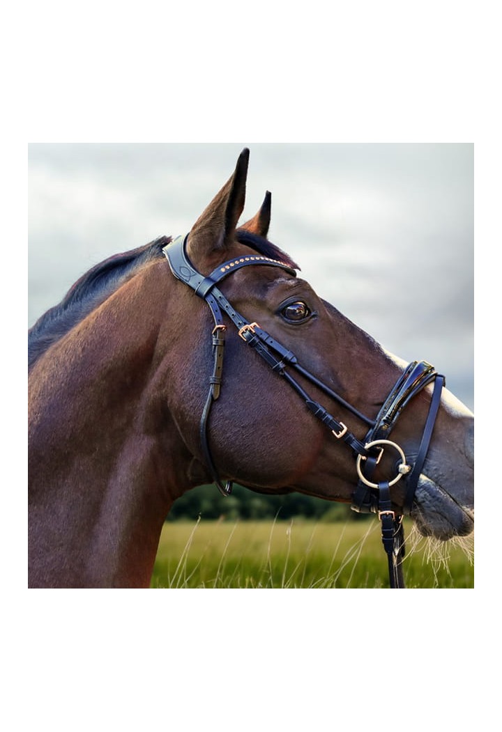 Bridle IO.jpg