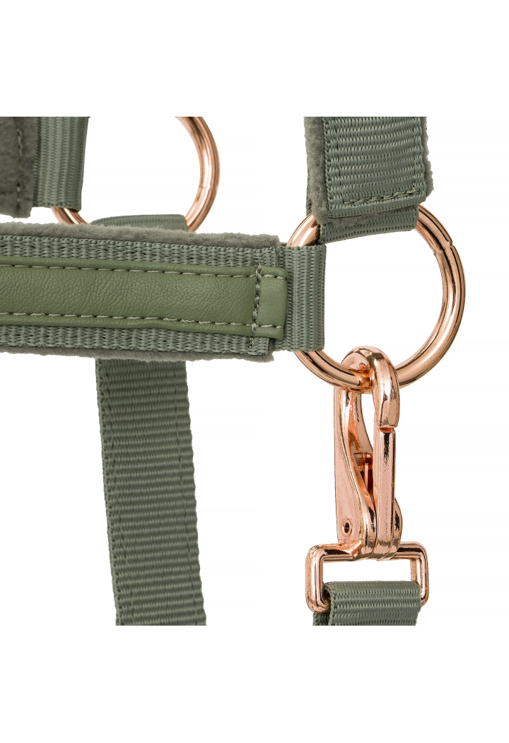 20820064 Halter EQ.QUEEN Athens 24SS light green3.webp