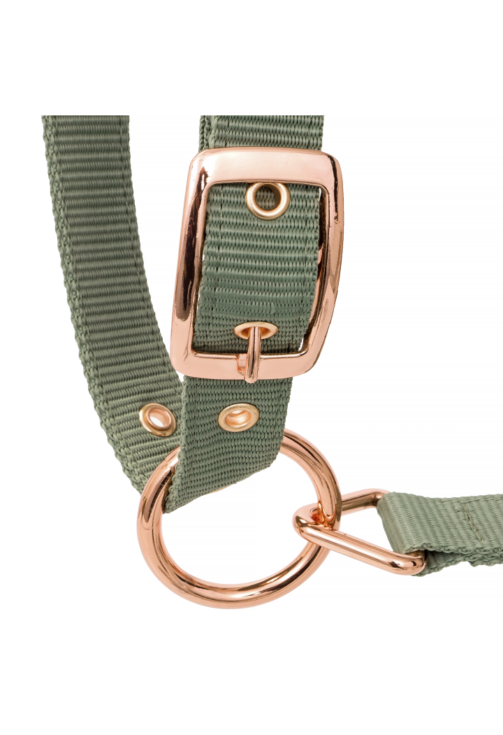 20820064 Halter EQ.QUEEN Athens 24SS light green2.webp