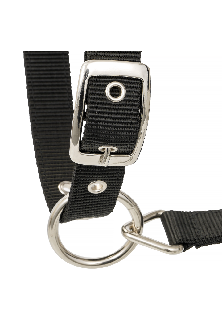20820064 Halter EQ.QUEEN Athens 24SS black2.webp