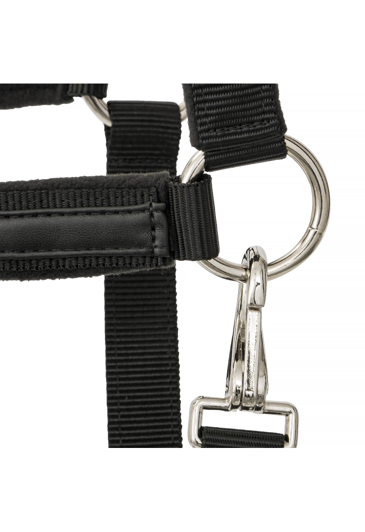 20820064 Halter EQ.QUEEN Athens 24SS black3.webp