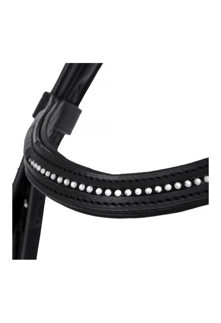 20920014 Bridle EQ.QUEEN Orion black detail.jpg